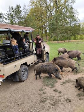 Den rodiny v Safari resortu Hluboká u Borovan