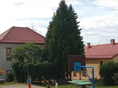 Bez názvu